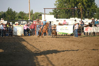 SHELBOURN, COYDSC_0028.JPG