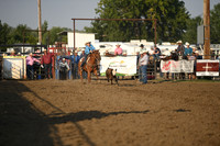 SHELBOURN, COYDSC_0029.JPG