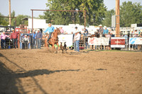 SHELBOURN, COYDSC_0030.JPG