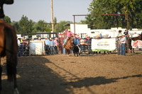 STRANG, ZAYNEDSC_0067.JPG