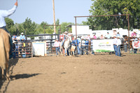 VINING, ASPENDSC_9519.JPG