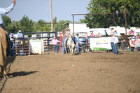 VINING, ASPENDSC_9520.JPG