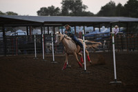 WIMBERLEY, RIATADSC_0484.JPG