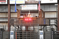 IRVING, GABIDSC_3733.JPG