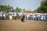 BOOMSMA, DRAKEDSC_2195.JPG