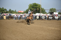 BOOMSMA, DRAKEDSC_2197.JPG