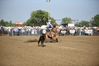 BOOMSMA, DRAKEDSC_2198.JPG