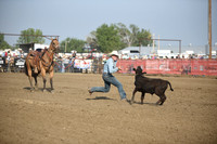 BOOMSMA, DRAKEDSC_2200.JPG