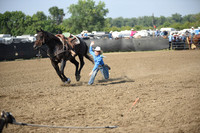 GAIKOWSKI, TRACEDSC_2012.JPG