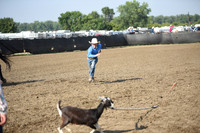 GAIKOWSKI, TRACEDSC_2014.JPG