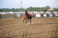 HARVEY, HINSLEYDSC_2706.JPG