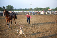 HARVEY, HINSLEYDSC_2709.JPG