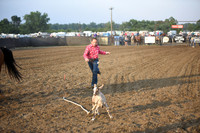 HARVEY, HINSLEYDSC_2710.JPG