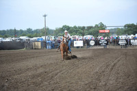 HEIDLER, HARLIEDSC_2933.JPG