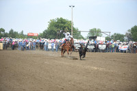 ROSE, DONOVANDSC_2257.JPG