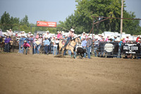 ROSE, DUSTYDSC_2147.JPG