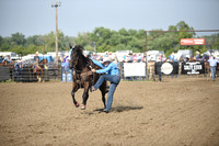 SHELBOURN, COYDSC_2025.JPG