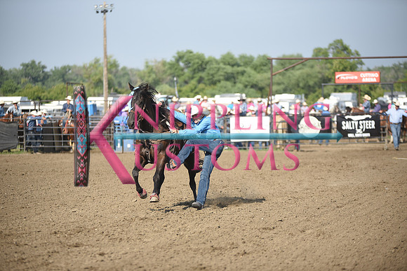 SHELBOURN, COYDSC_2025.JPG
