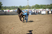 SHELBOURN, COYDSC_2026.JPG