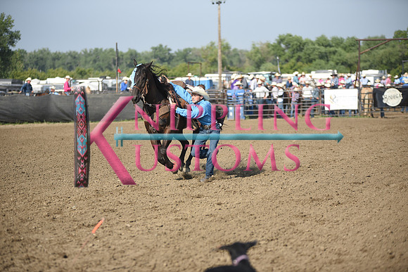 SHELBOURN, COYDSC_2026.JPG