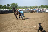 SHELBOURN, COYDSC_2027.JPG