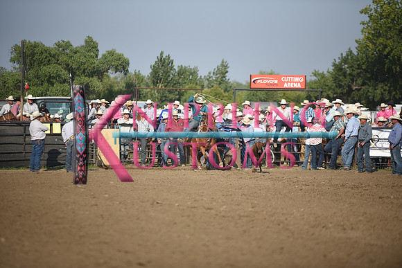 SHELBOURN, STETSONDSC_2172.JPG