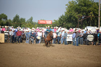 SHELBOURN, STETSONDSC_2173.JPG