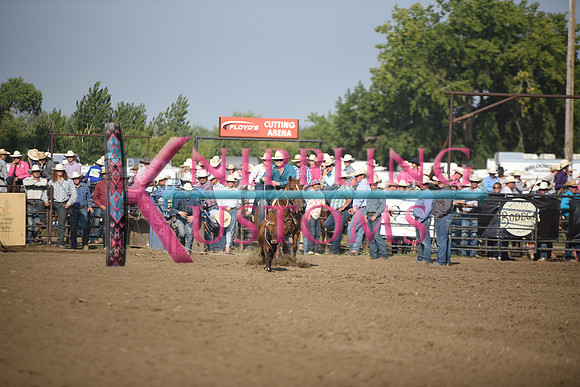 SHELBOURN, STETSONDSC_2173.JPG