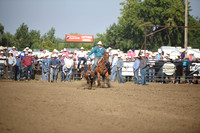 SHELBOURN, STETSONDSC_2174.JPG
