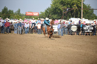 SHELBOURN, STETSONDSC_2175.JPG