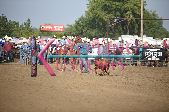 SHELBOURN, STETSONDSC_2176.JPG