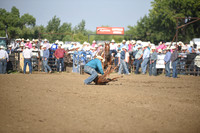 SHELBOURN, STETSONDSC_2177.JPG