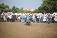 SHELBOURN, STETSONDSC_2178.JPG