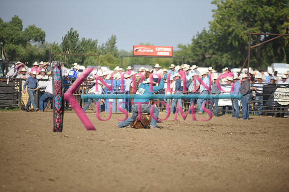 SHELBOURN, STETSONDSC_2178.JPG