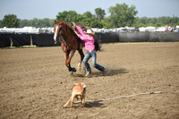 STEARNS, SUTTONDSC_1921.JPG