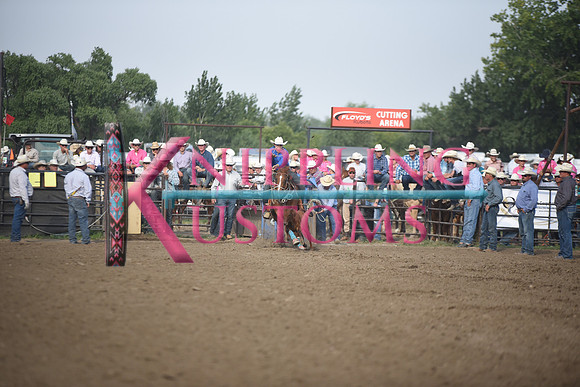 STRAWN, MICKEYDSC_2263.JPG