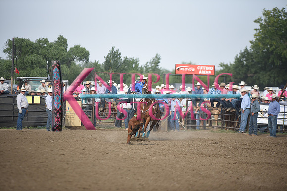 STRAWN, MICKEYDSC_2266.JPG