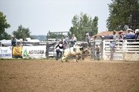 BLUEDOG, LYNDONDSC_0171.JPG