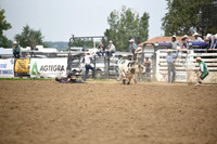 BLUEDOG, LYNDONDSC_0172.JPG