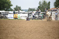 BLUEDOG, LYNDONDSC_0173.JPG