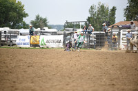 BLUEDOG, LYNDONDSC_0174.JPG