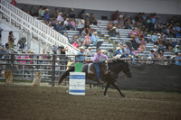 WILKING, DESTRYDSC_3137.JPG