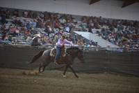 WILKING, DESTRYDSC_3138.JPG