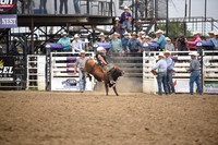 HOHN, HUNTERDSC_0037.JPG