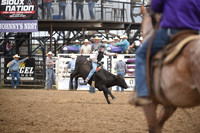 JONES, KELTONDSC_0032.JPG