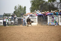 LONG, STETSONDSC_0179.JPG