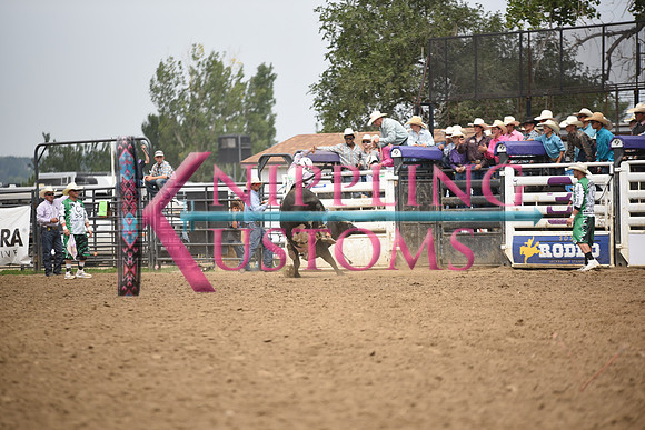 LONG, STETSONDSC_0179.JPG