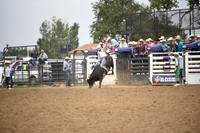 LONG, STETSONDSC_0178.JPG
