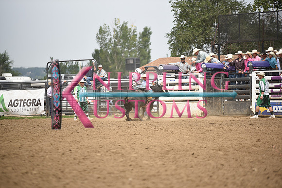 LONG, STETSONDSC_0181.JPG