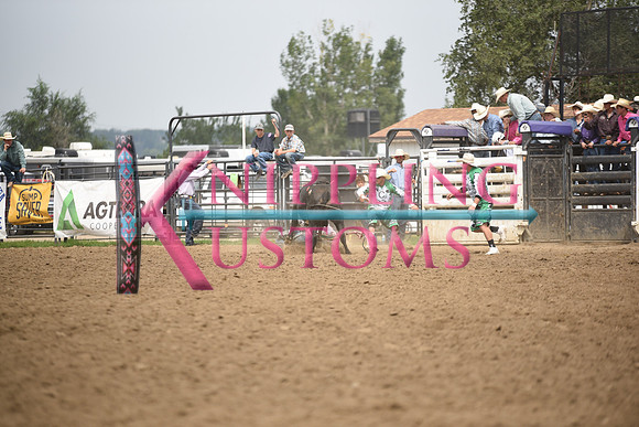 LONG, STETSONDSC_0185.JPG